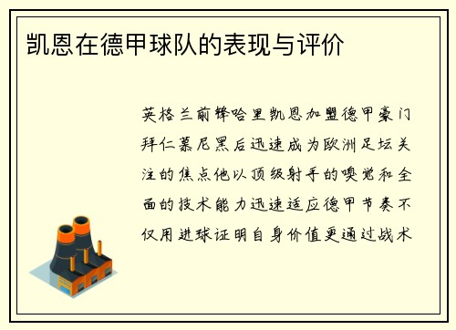 凯恩在德甲球队的表现与评价